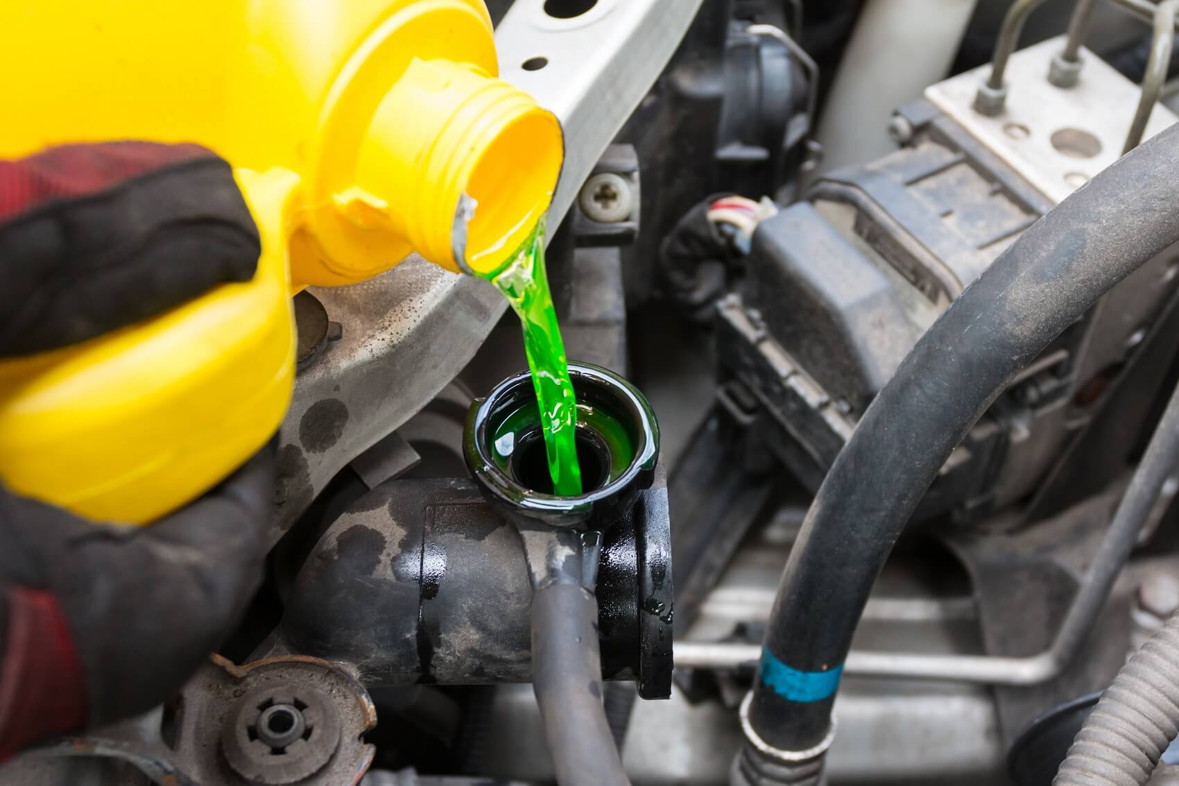 Kia Service